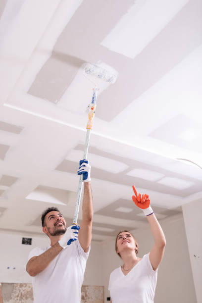 Best Water Damage & Mold Remediation  in Mooreville, MS