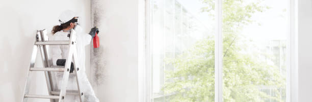 Best Attic Mold Removal  in Mooreville, MS