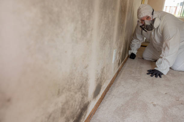 Best Dehumidification Services  in Mooreville, MS